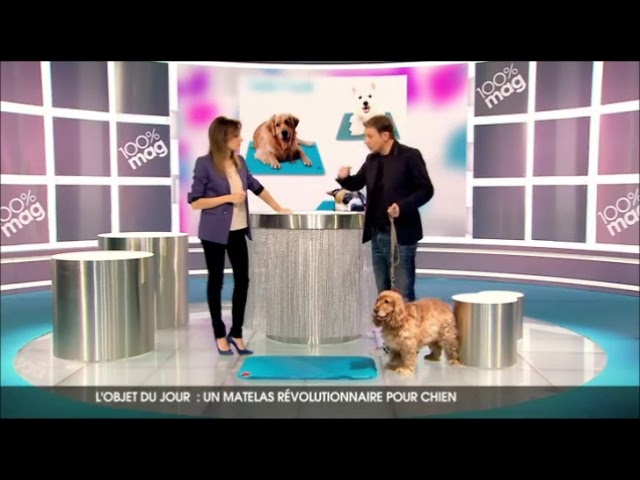 Le tapis Cool Bed pour chien Climsom sur 100% mag