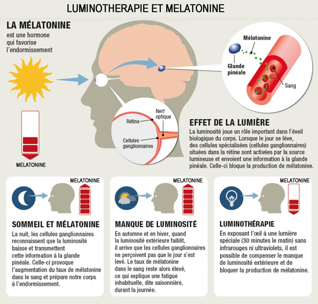 Schema luminotherapie melatonine