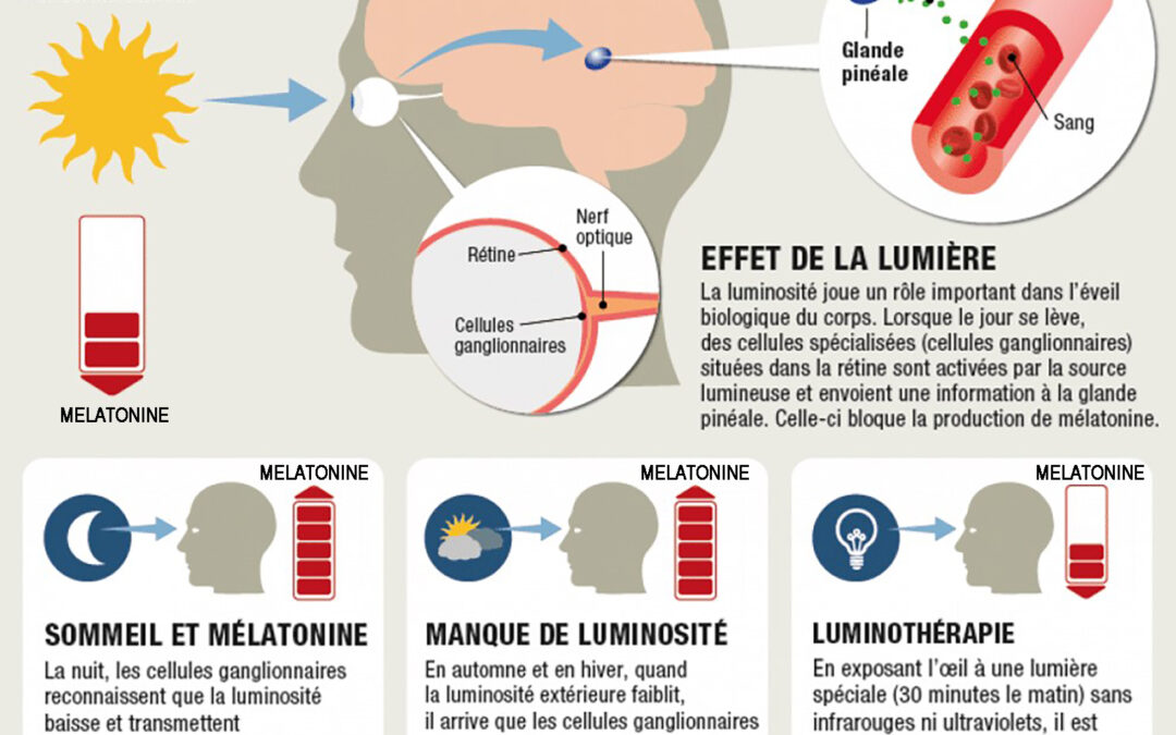 L’efficacité de la luminothérapie en 3 chiffres