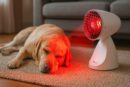 Lampe infrarouge à lumière rouge pour chat et chien